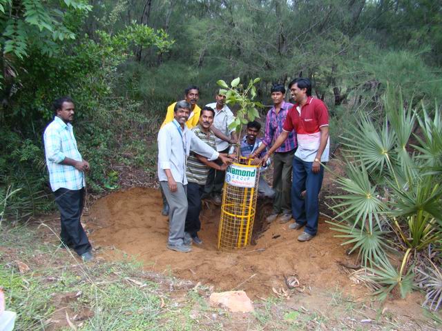 Diamond Group